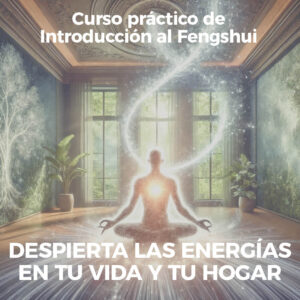 Curso Introducción Despierta las Energías en tu Vida y tu Hogar